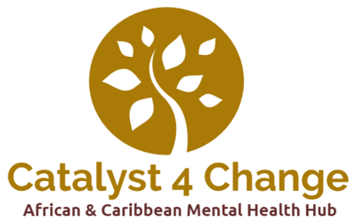 Catalyst 4 Change CIC Meeting