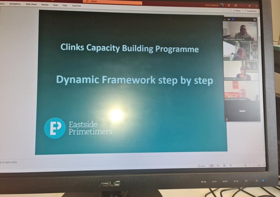 Clinks Capacity Building Training – Dynamic Frameworks