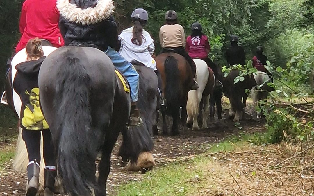 Horse-Riding Activity Day 1!