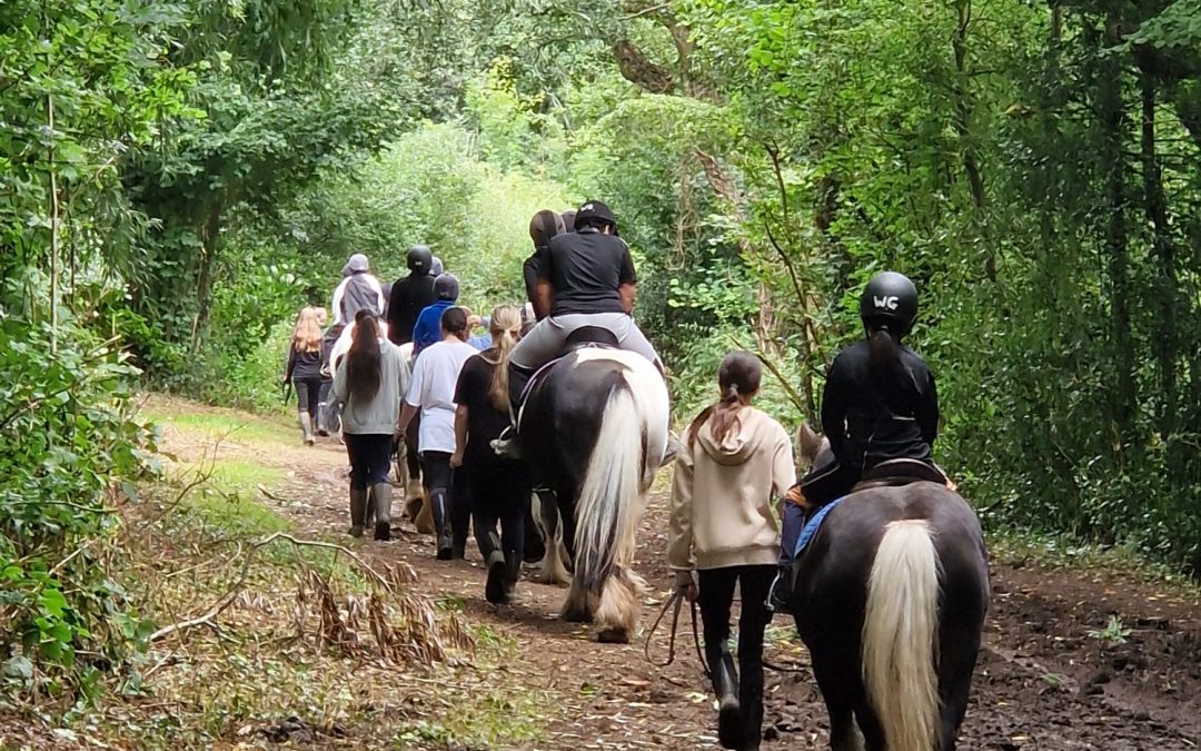 Horse-Riding Activity Day 2!